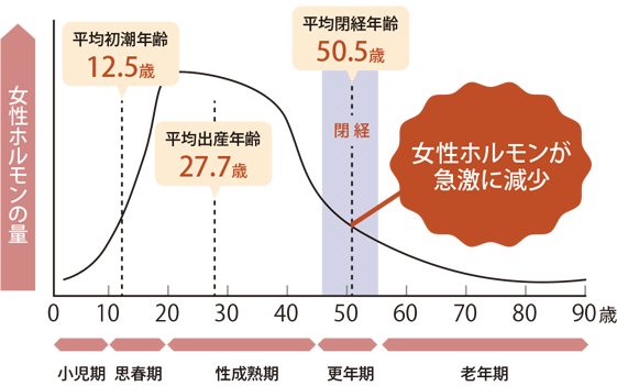 女性ホルモン量の変化イメージ