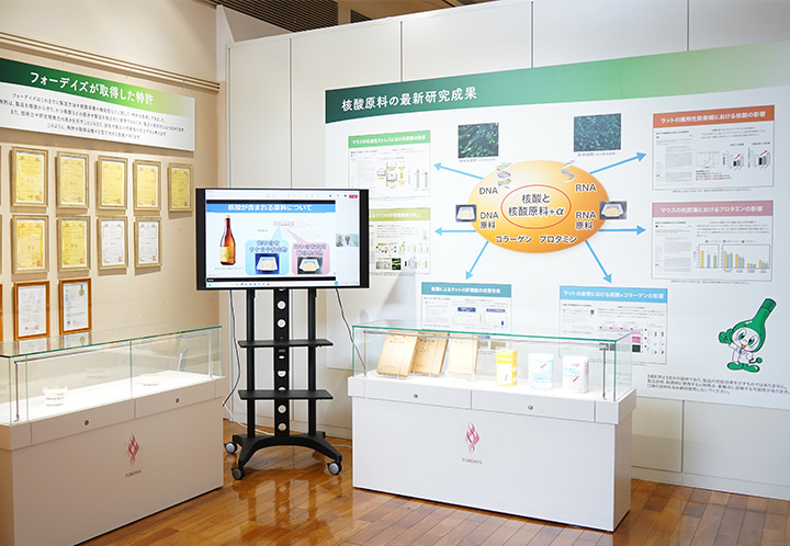 核酸栄養に関する研究と開発